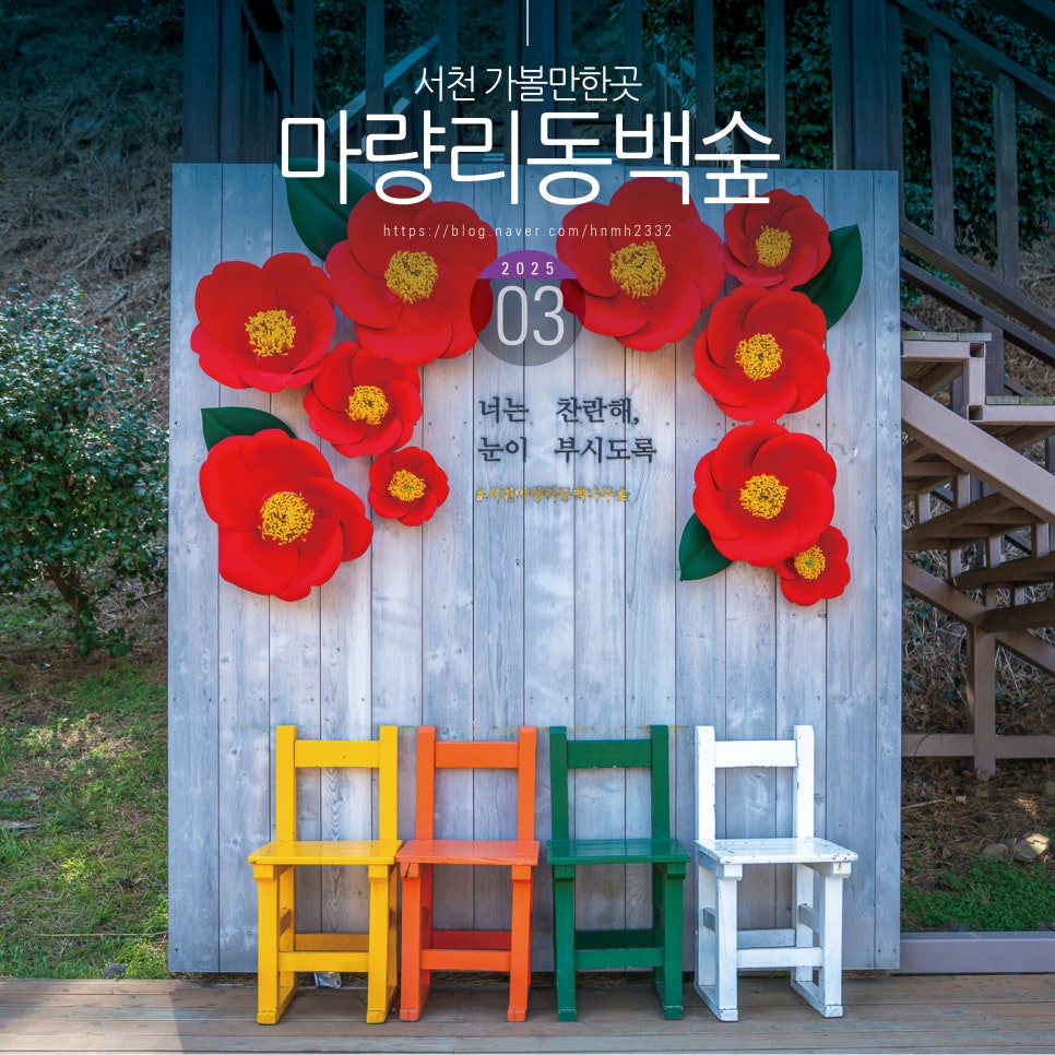 서천 가볼만한곳 여행 서천 마량리동백나무숲