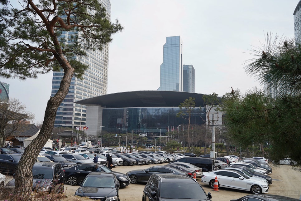 코엑스 주차장 꿀팁! 편리하고 저렴하게 주차하기