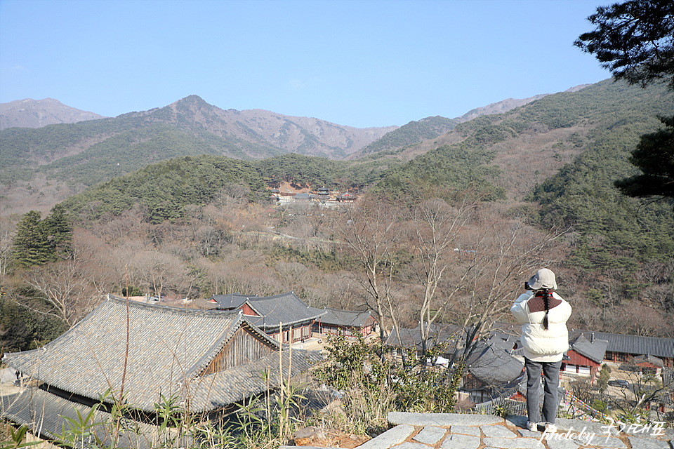 전남 구례 가볼만한곳 여행 구례 화엄사 홍매화 개화시기