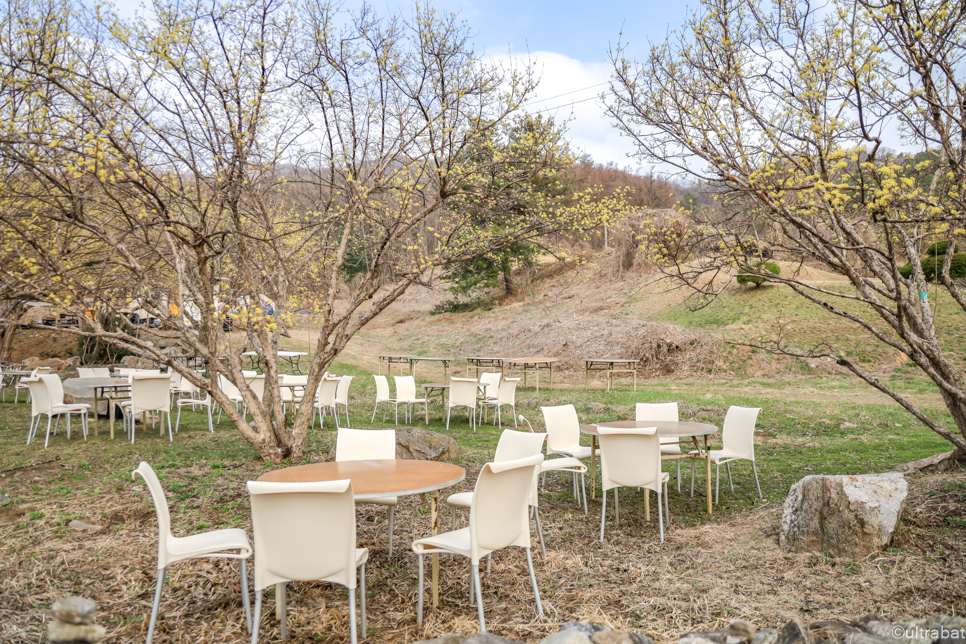 경기도 이천 가볼만한곳 산수유마을 산수유축제 이천 여행 볼거리