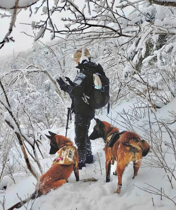을호비상 갑호비상 뜻 연가 중단