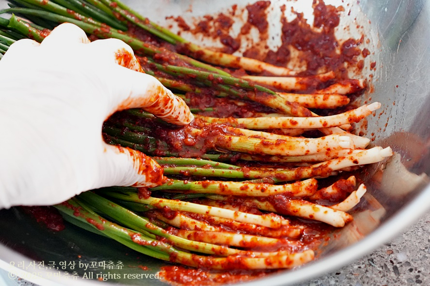 파김치 담그는법 전라도 쪽파김치 양념 레시피