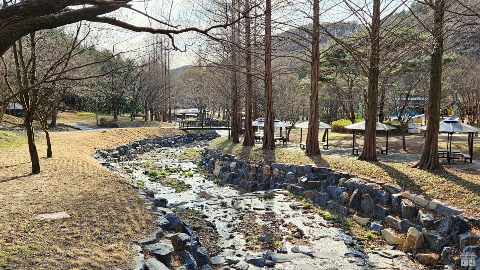 자연과 역사, 이야기가 살아 있는 대전의 보물! 보문산 봄 산책 코스