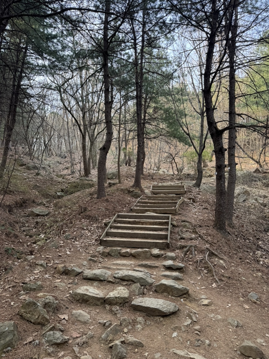청계산 등산코스 원터골 진달래능선 옥녀봉