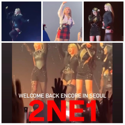 박봄, 필터 논란 정면돌파→2NE1 15주년 콘서트 완벽 피날레