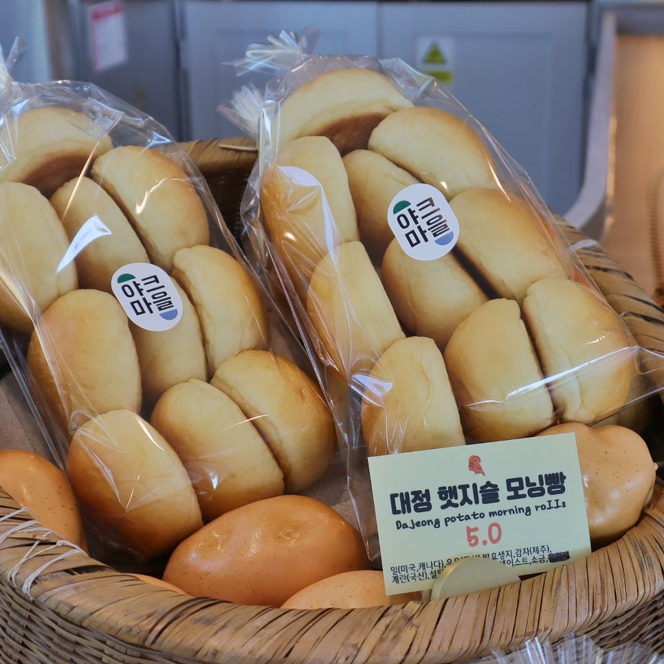 제주도 카페 서귀포 추천 서울앵무새 제주 아이와 가볼만한곳