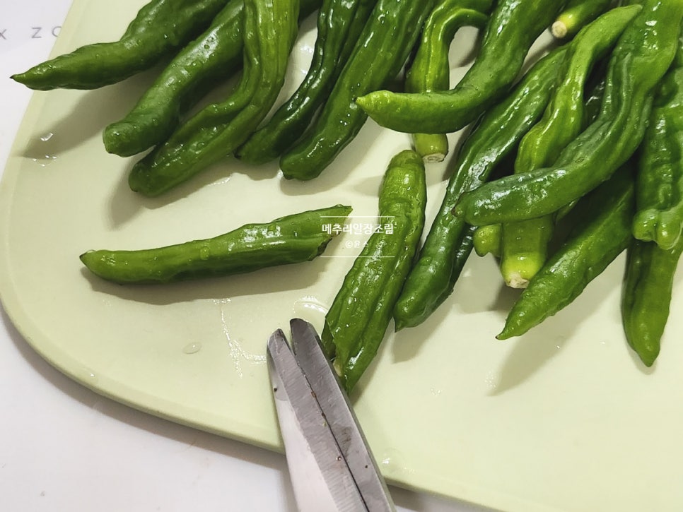 꽈리고추 메추리알장조림 만들기 간장 메추리알조림 레시피