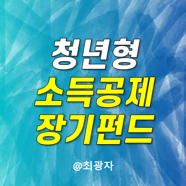 청년형 소득공제장기펀드 가입 나이 소득요건 투자 단점