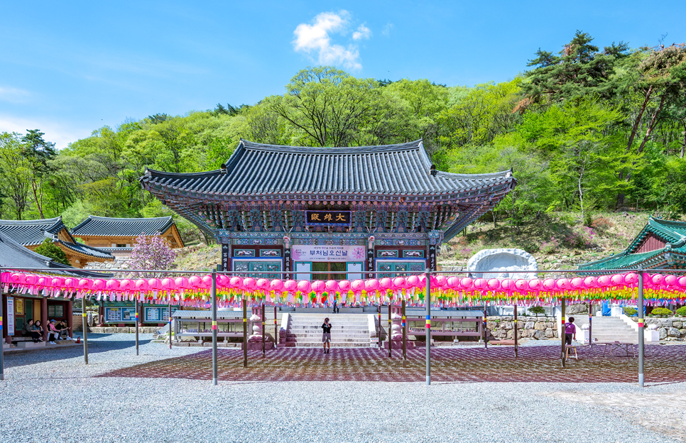 양평 가볼만한곳 서울근교 양평카페 양평 용문산 산나물축제