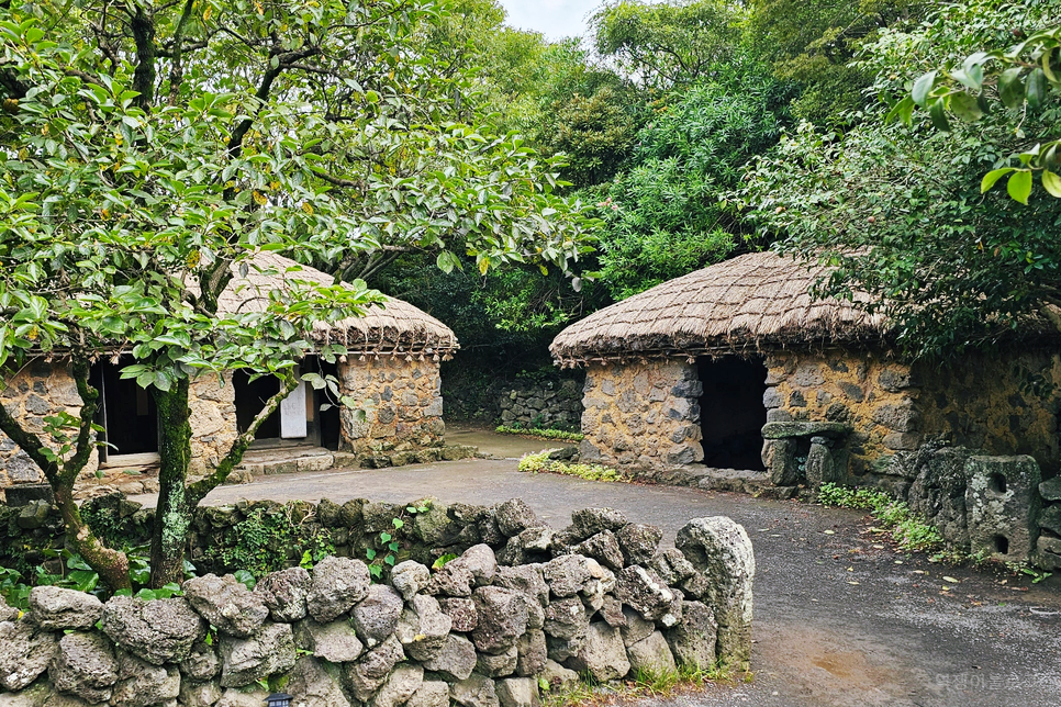 제주도 서귀포 가볼만한곳 여행 코스 제주 볼거리 5곳