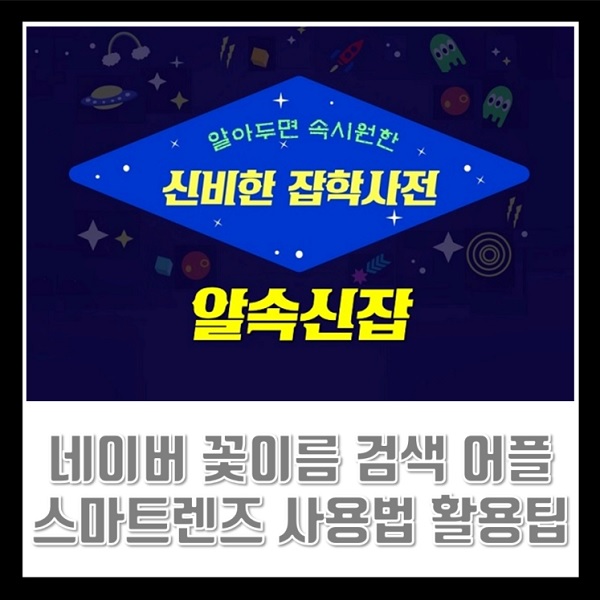 네이버 꽃이름 검색 찾기 어플 앱 스마트렌즈 사용법 활용팁