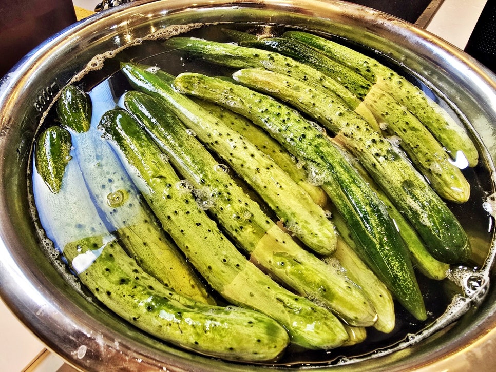 오이지담그는법 전통 소금오이지 만들기 50개 레시피