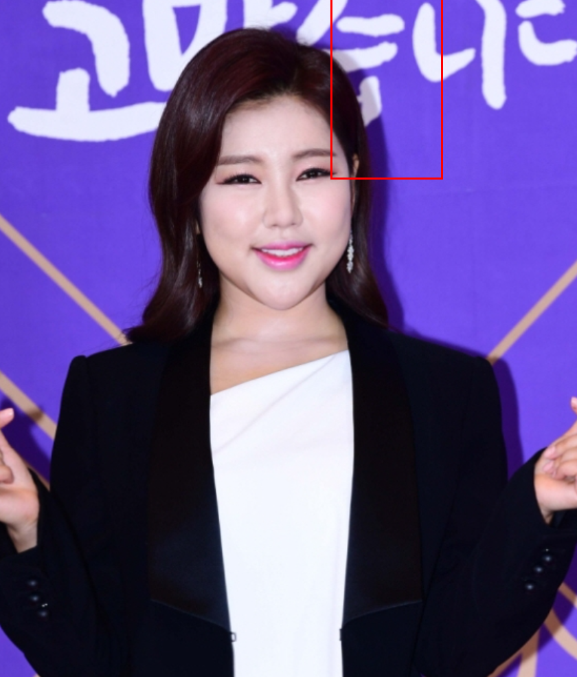송가인 매니저 사칭 사기 논란, 피해 예방법까지 총정리!