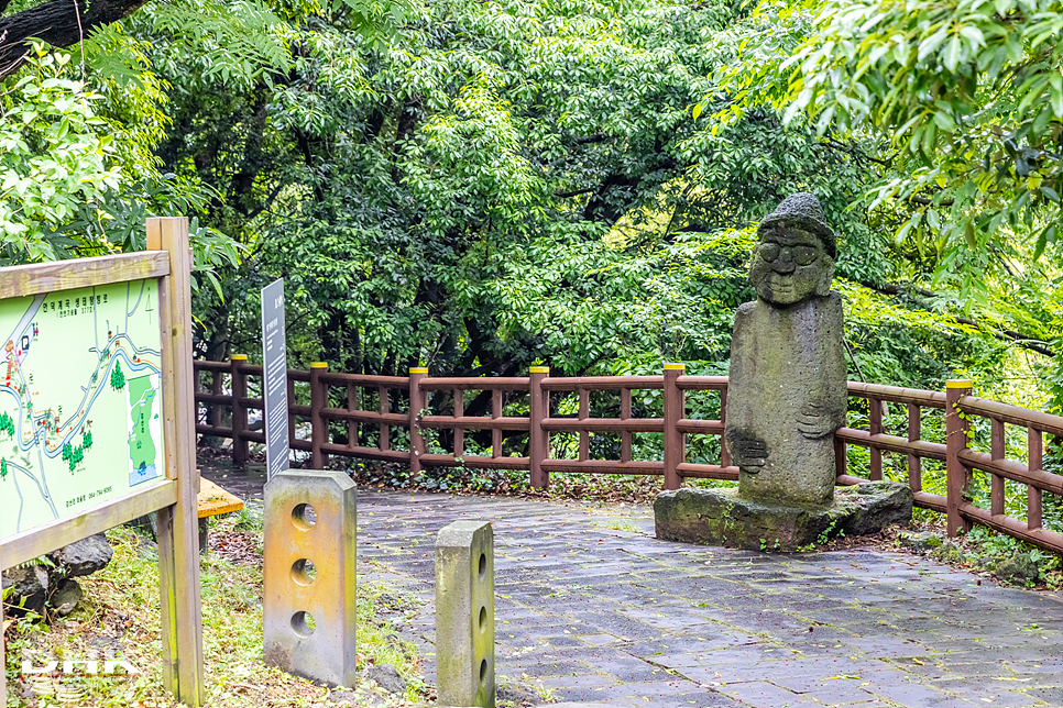 6월 제주도 여름에 가볼만한곳 안덕계곡 제주 서귀포 남쪽 여행 올레길 9코스