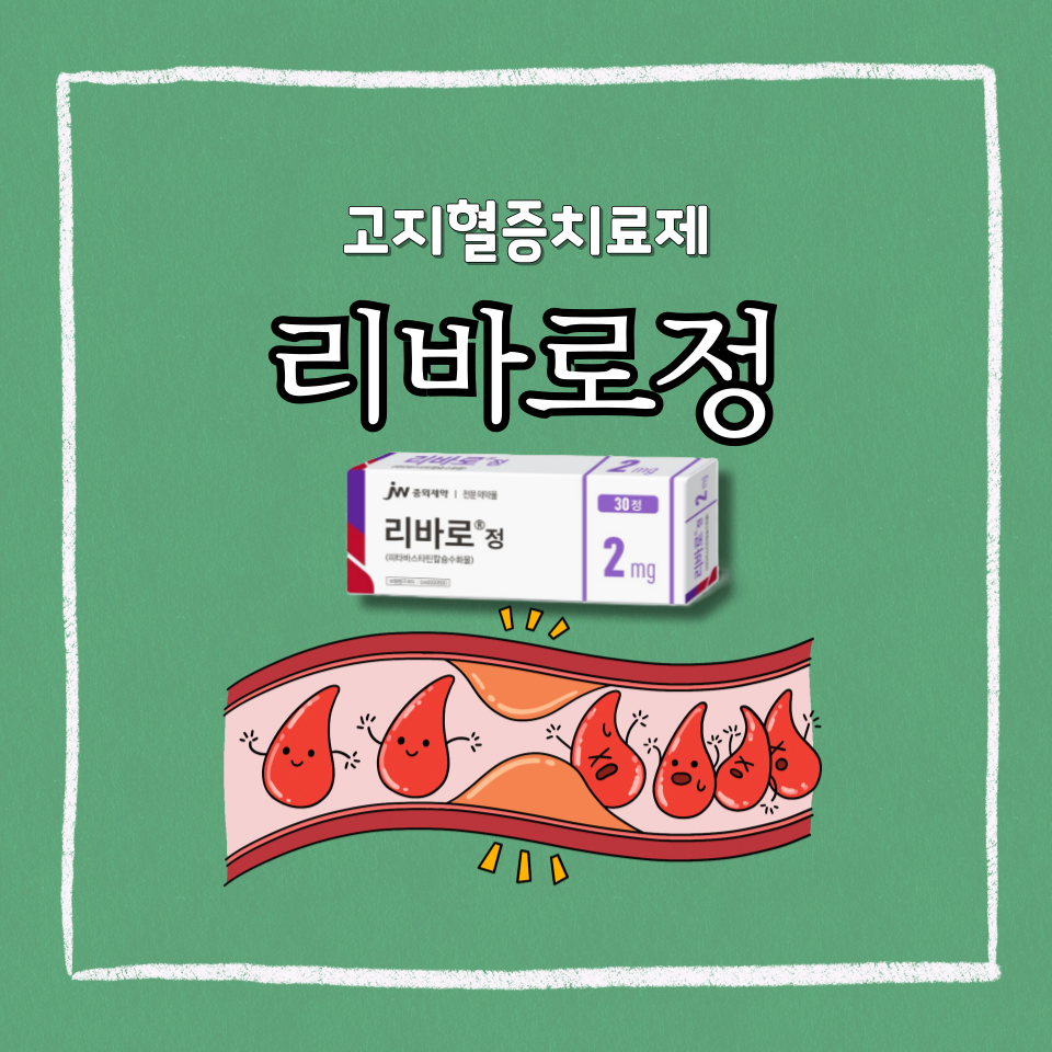 리바로정 효능 부작용 복용법