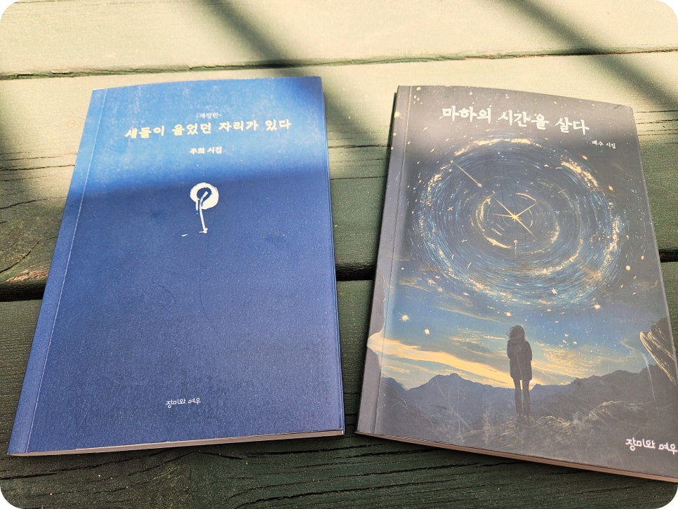 시집베스트셀러추천 인생시집추천 감성을 울리는 시를 찾다