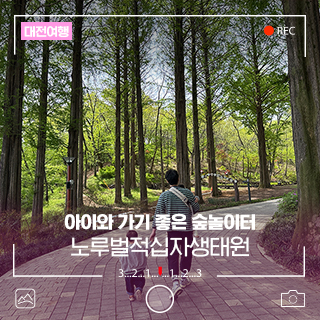 아이와 가기 좋은 숲 놀이터가 있는 대전 서구 노루벌 적십자 생태원
