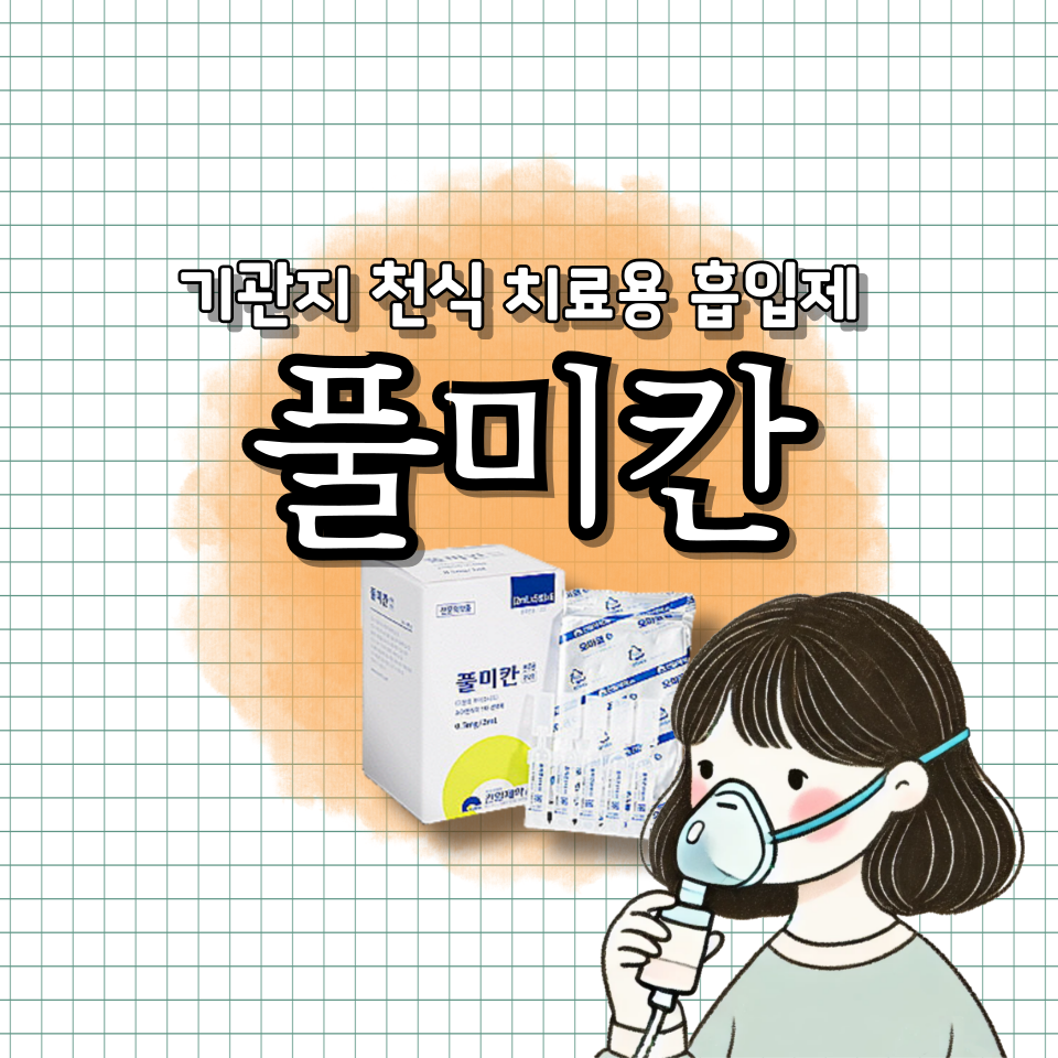 풀미칸 사용법 부작용 풀미코트