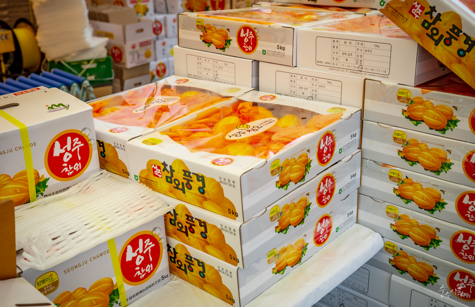 경북 성주 가볼만한곳 성주참외축제 성주읍성 성주역사테마공원