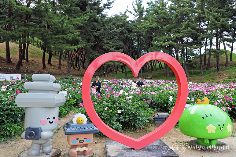 경주 꽃구경 경주 5월 여행지 서악마을 경주 작약 꽃밭