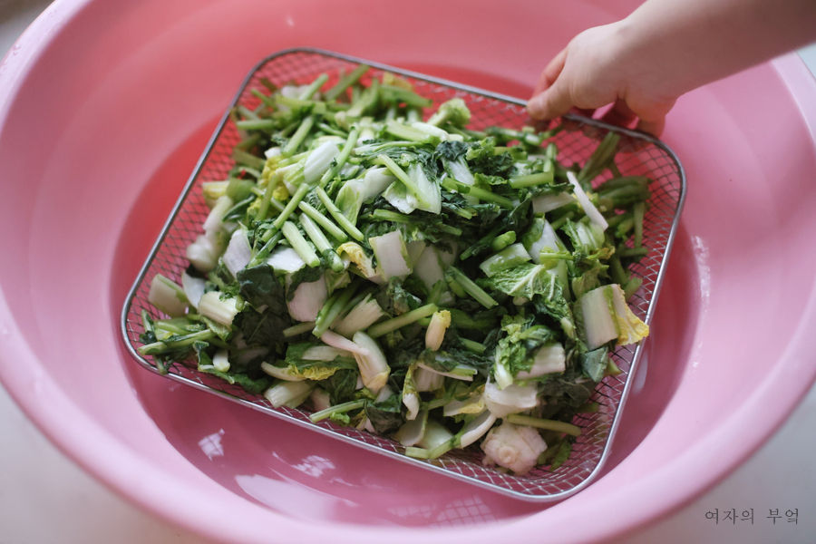 얼갈이 열무김치 담그는법 맛있게 레시피 열무물김치 만드는법
