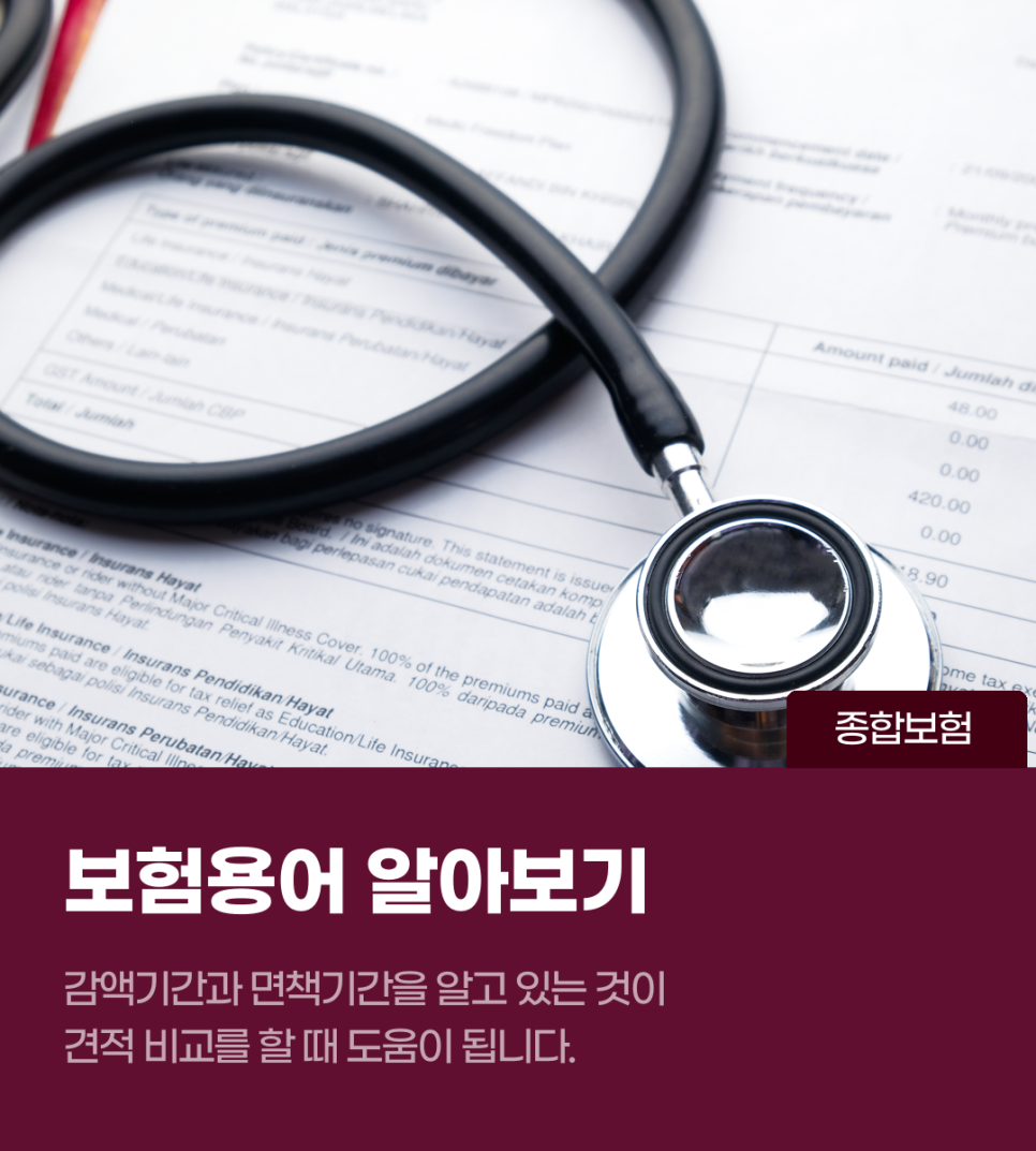 21세/22세/23세/24세/25세/26세/27세/28세/29세/30세 여자 종합보험 가입 내용을 다양하게 비교하여 봅시다