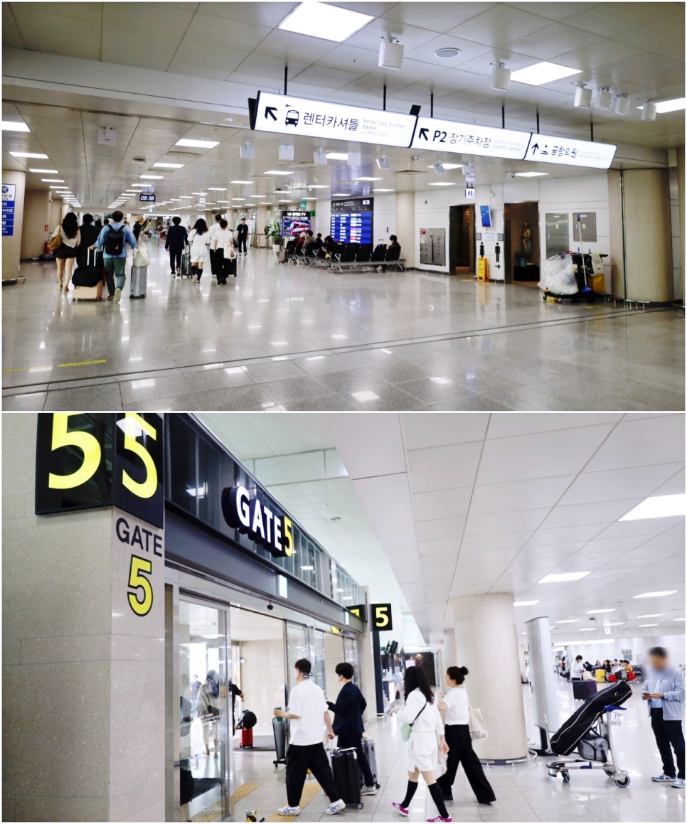 제주 렌트카 가격비교 할인 제주도 렌터카 2박3일 코스