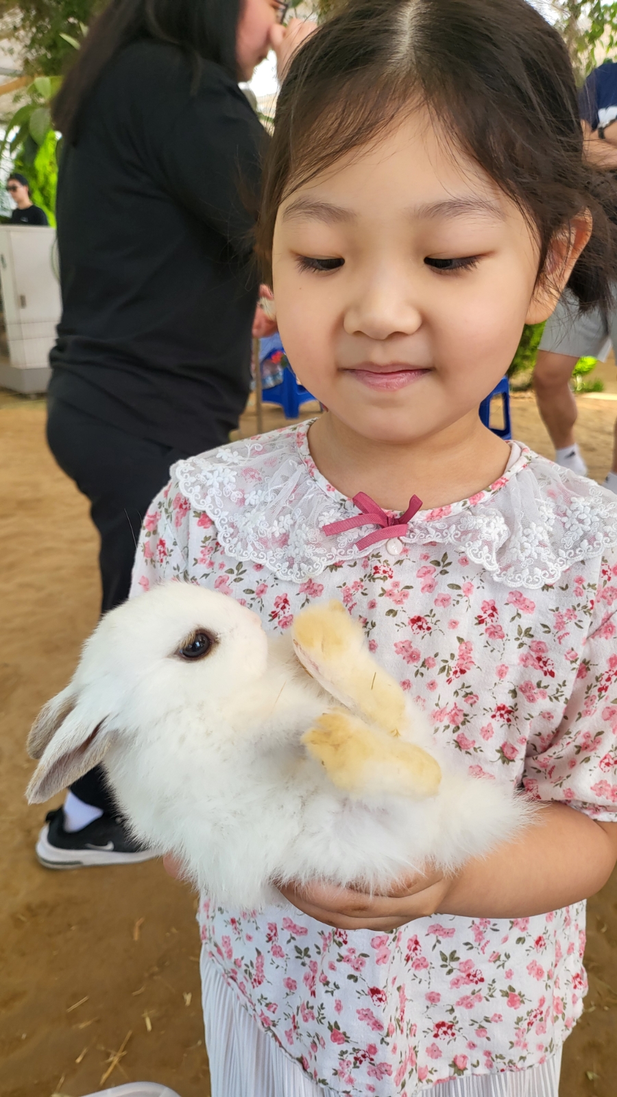 파주나눔농장 아기토끼를 안아봤어요!