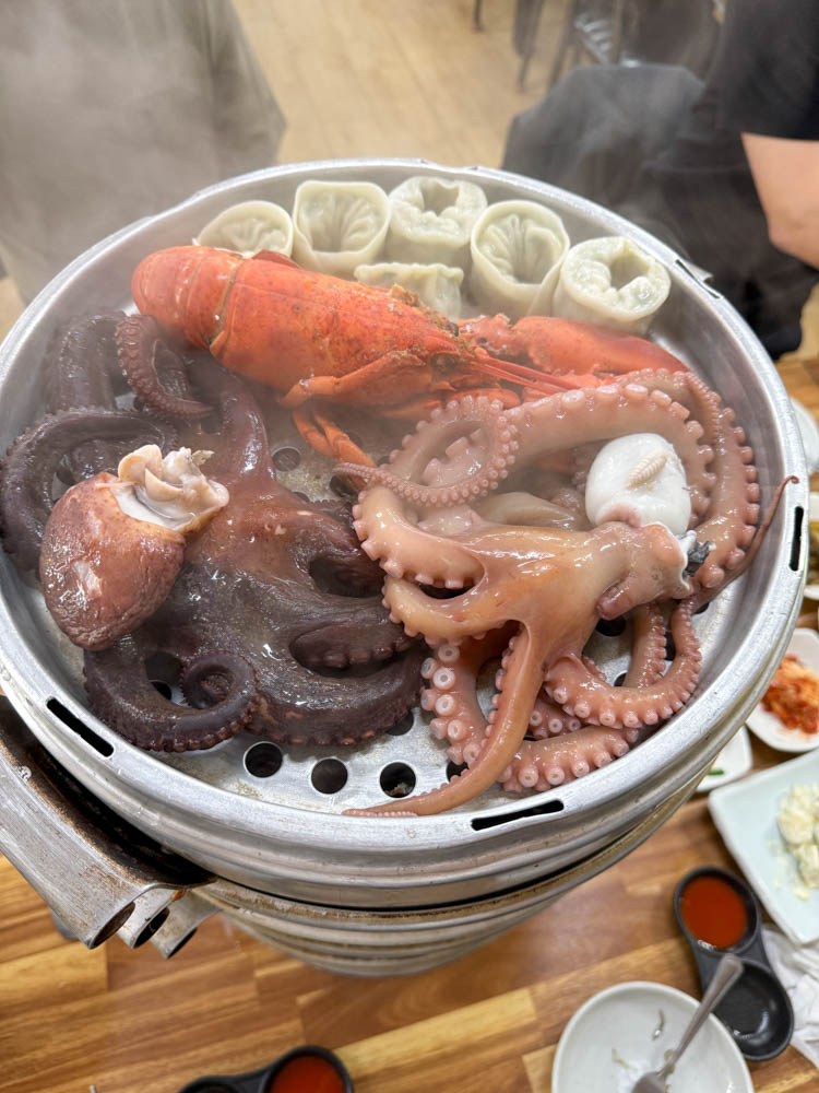 통영 아이와 가볼만한곳 케이블카 & 스카인라인 루지 후기 (8세, 11세)