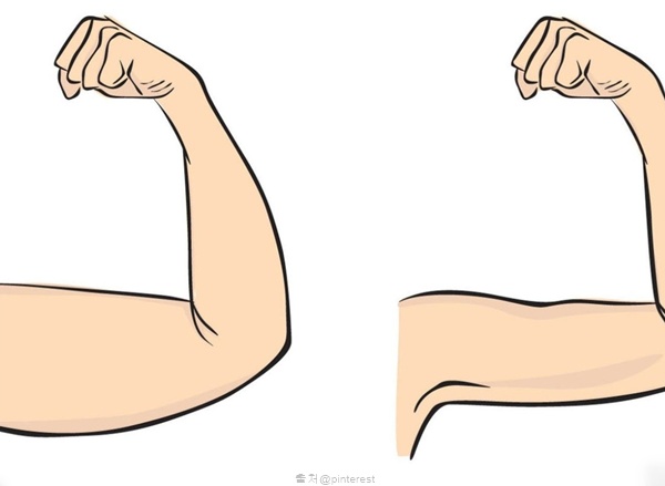 팔뚝살 빼기 빼는 운동 여자 맨손 스트레칭 팔근육 운동 루틴 팁