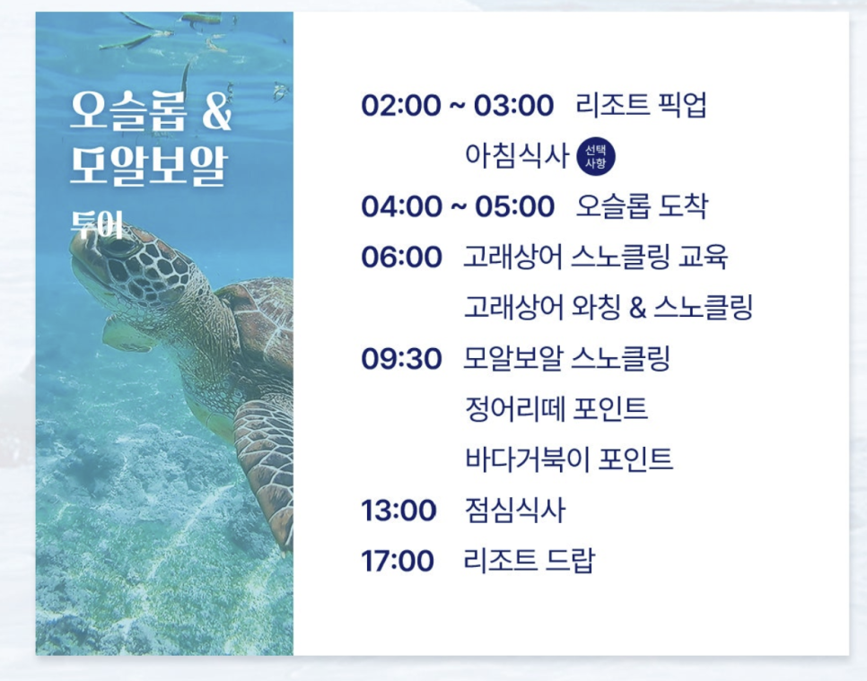 세부 오슬롭 고래상어 투어 모알보알 투어 세부 자유 여행 필리핀 굿