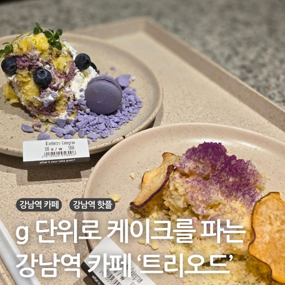 강남역 디저트 카페 핫플 g단위 케이크 파는 트리오드