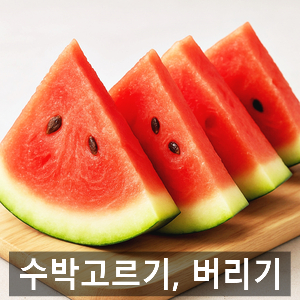 수박고르는법부터 수박자르는법, 수박껍질분리수거까지 여름 필수 정보 총정리