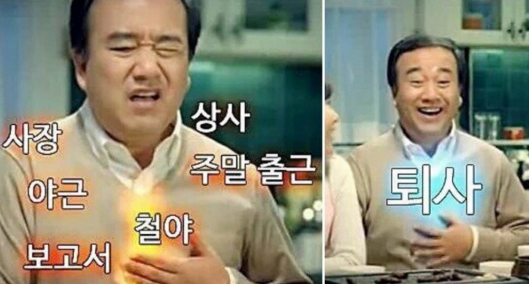 1년안에 퇴사하는 MZ는 이런생각을 합니다