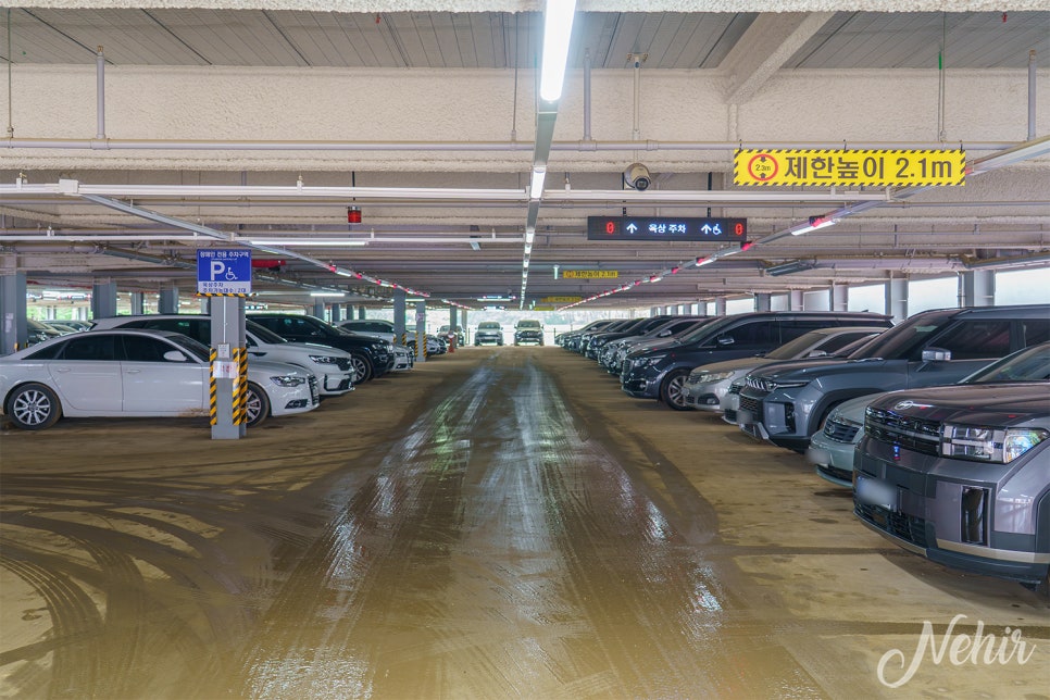 인천 무의도 가볼만한곳 하나개 해수욕장 해루질 갯벌체험 해상관광탐방로 호룡곡산 무의도 여행