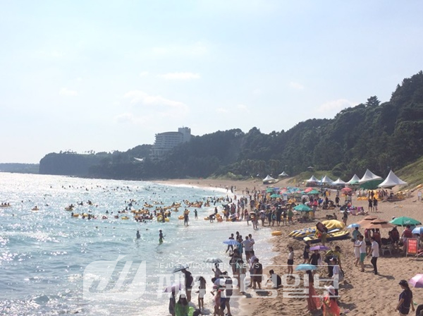 제주 해수욕장 모두 ‘수질 적합’ 판정..손님맞이 준비 끝