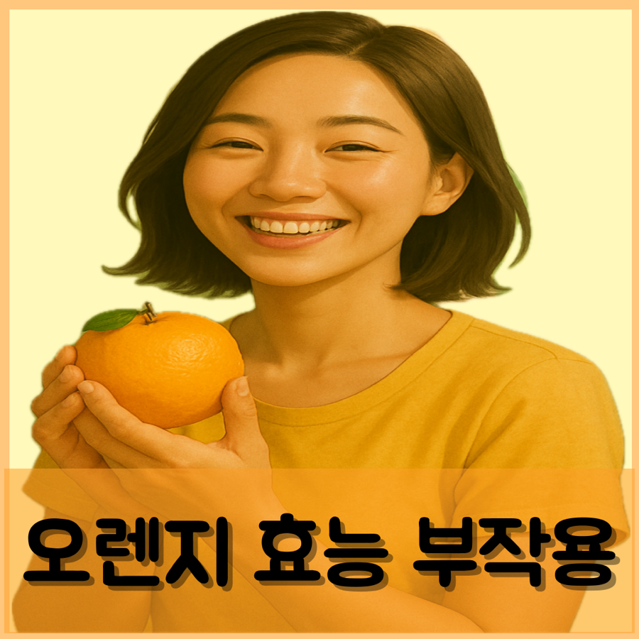 오렌지 효능 부작용 칼로리 한개 하루섭취량 먹는법