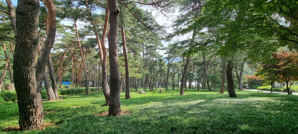 속리산, 계곡옆 숲속의 상주 문장대야영장 하룻밤