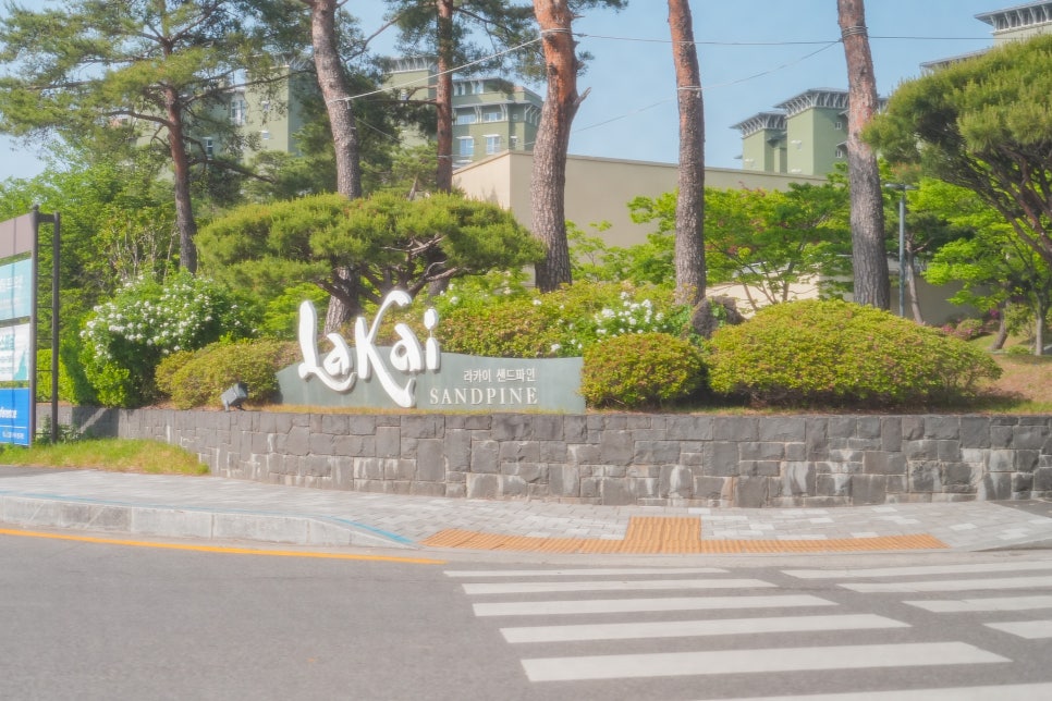강릉 라카이샌드 파인리조트 경포해수욕장 8인 강릉 조용한숙소