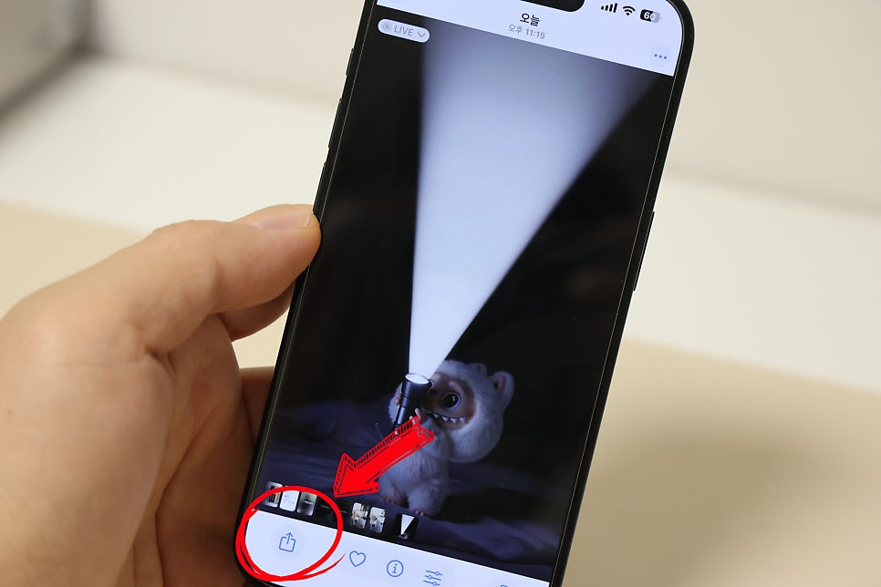 아이폰 손전등 배경화면 이렇게 쉬운 거였어?