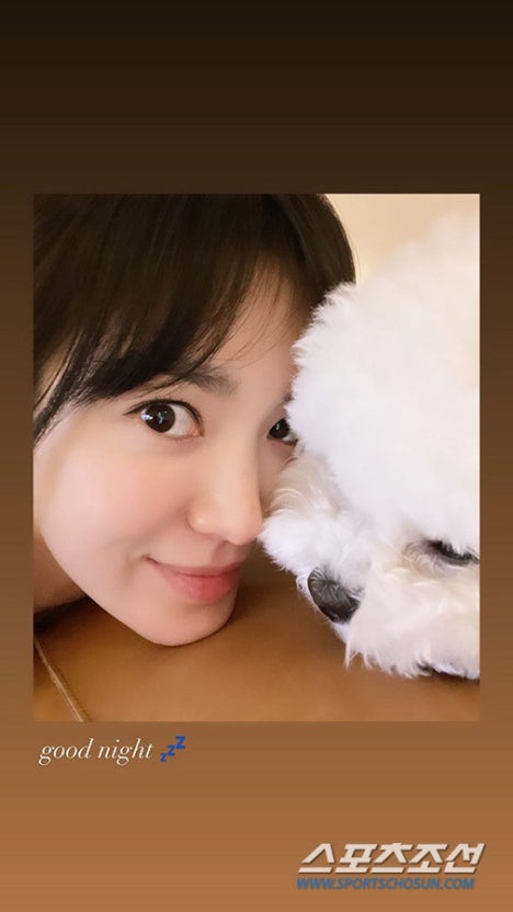 송혜교, 특별한 독서 취향 공개 문소리 선물에 담긴 감성까지