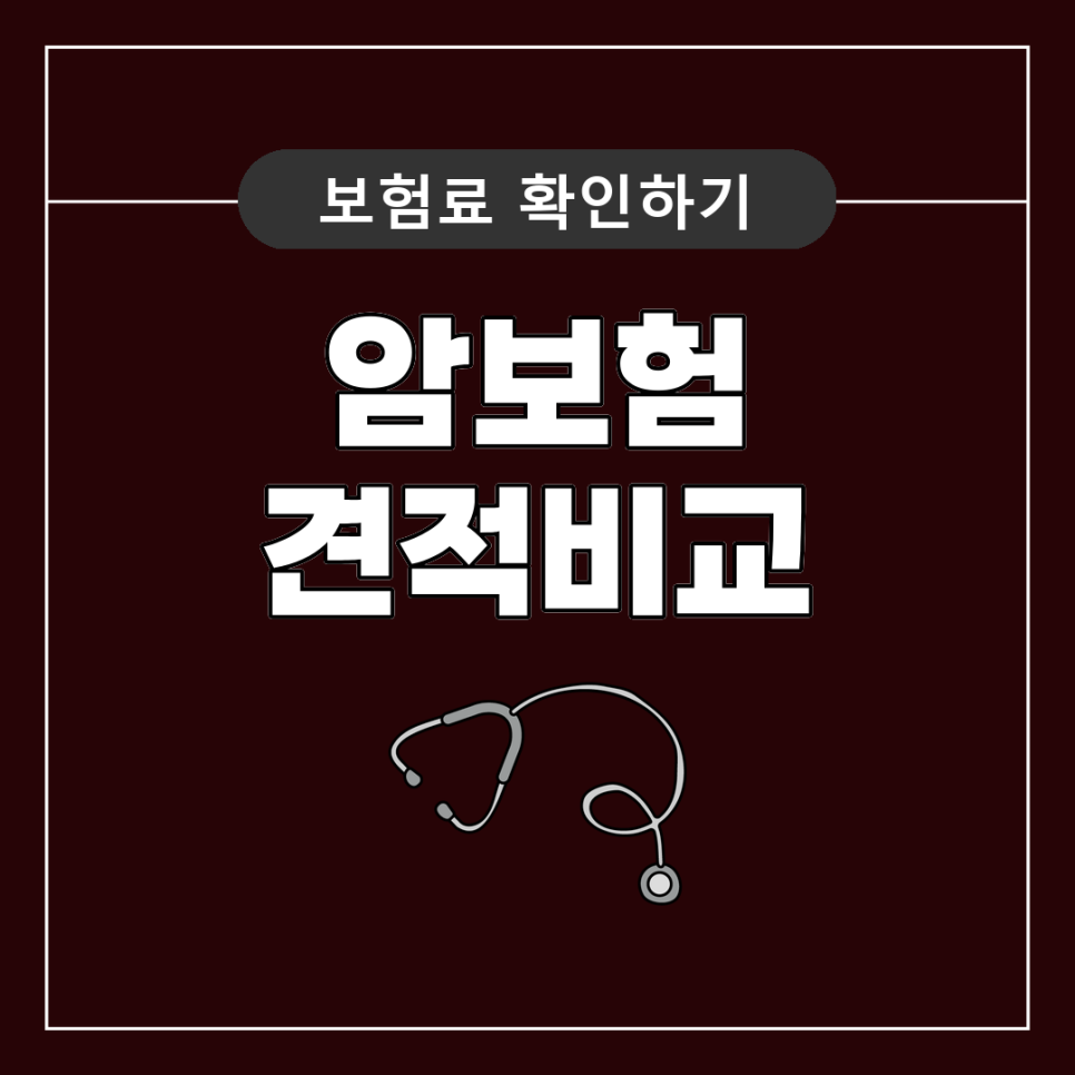 암보험가입순위 상위권은 왜 선택될까? 비갱신형암보험순위 기준과 함께 확인해봤어요
