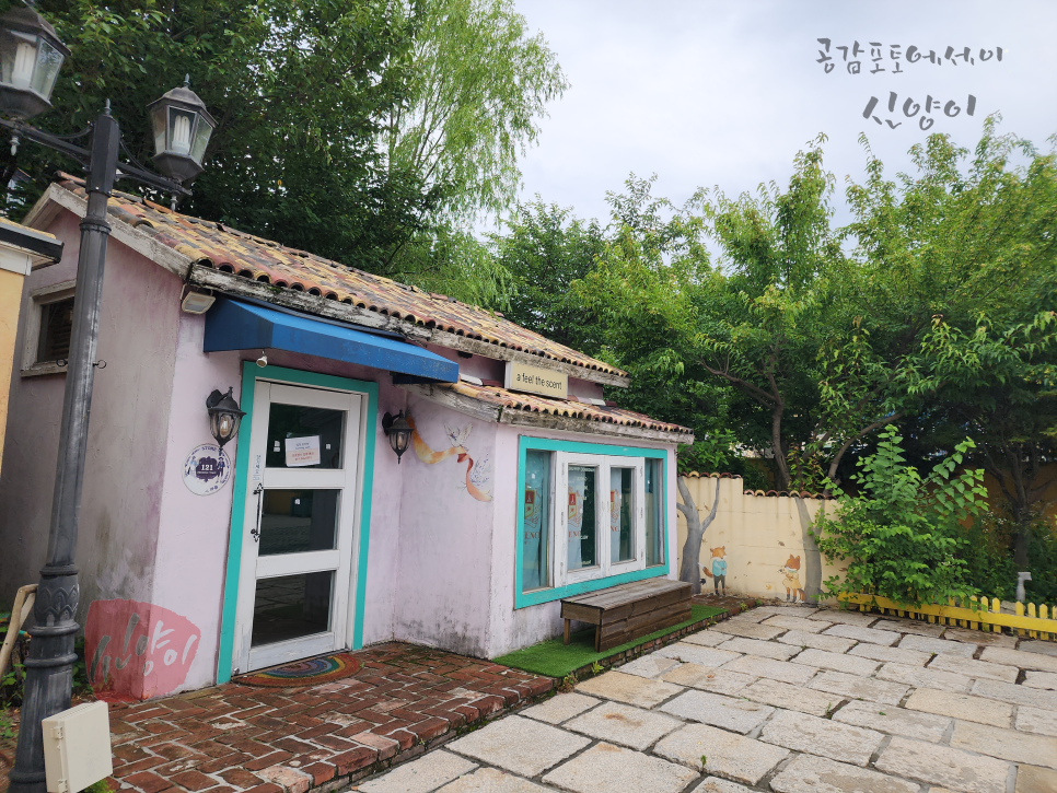 파주 프로방스 마을 가볼만한곳 당일치기 주차 팁 류재은 베이커리 마늘빵
