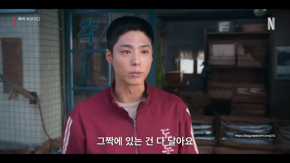 2025 청룡시리즈어워즈 드라마 후보 총정리 박보검·아이유