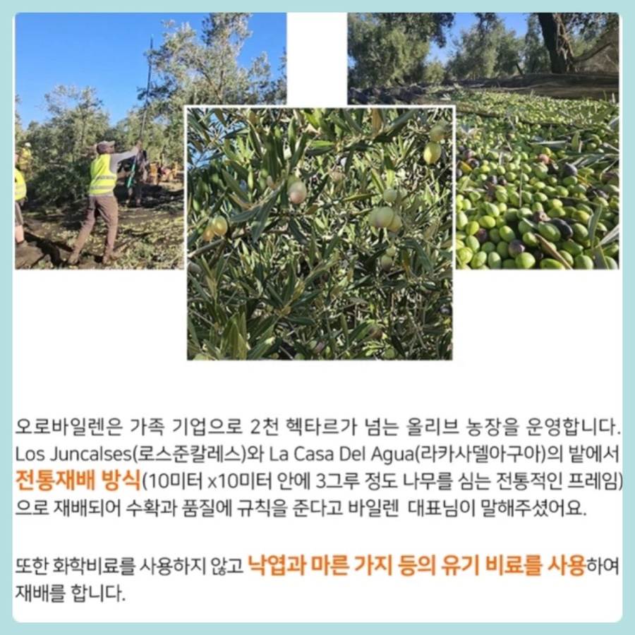 CJ온스타일 엑스트라버진 올리브오일 추천 최화정쇼PICK 오로바일렌 공복 먹는법