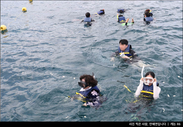 괌여행 코스 괌 돌핀크루즈 액티비티 돌고래투어 물놀이 준비물 복장