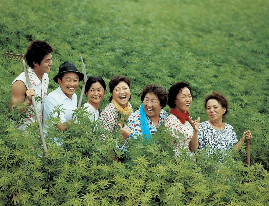 영화리뷰 마파도 1 줄거리 결말 정보 160억 로또 찾아 삼만리 넷플릭스 추천 코미디