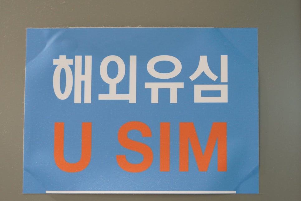 캐나다 여행 ETA 작성법 캐나다 입국 유심 이심
