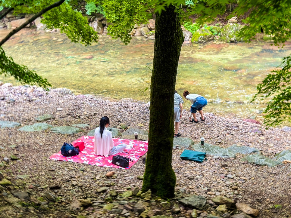 계곡추천 전북 순창 강천산 군립공원 입장료 계곡물놀이 정리