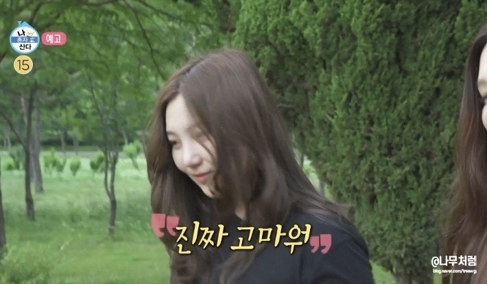 조이 여동생 둘이라고? 너무 꼭 닮은 여동생 인스타(ft. 나혼자산다)